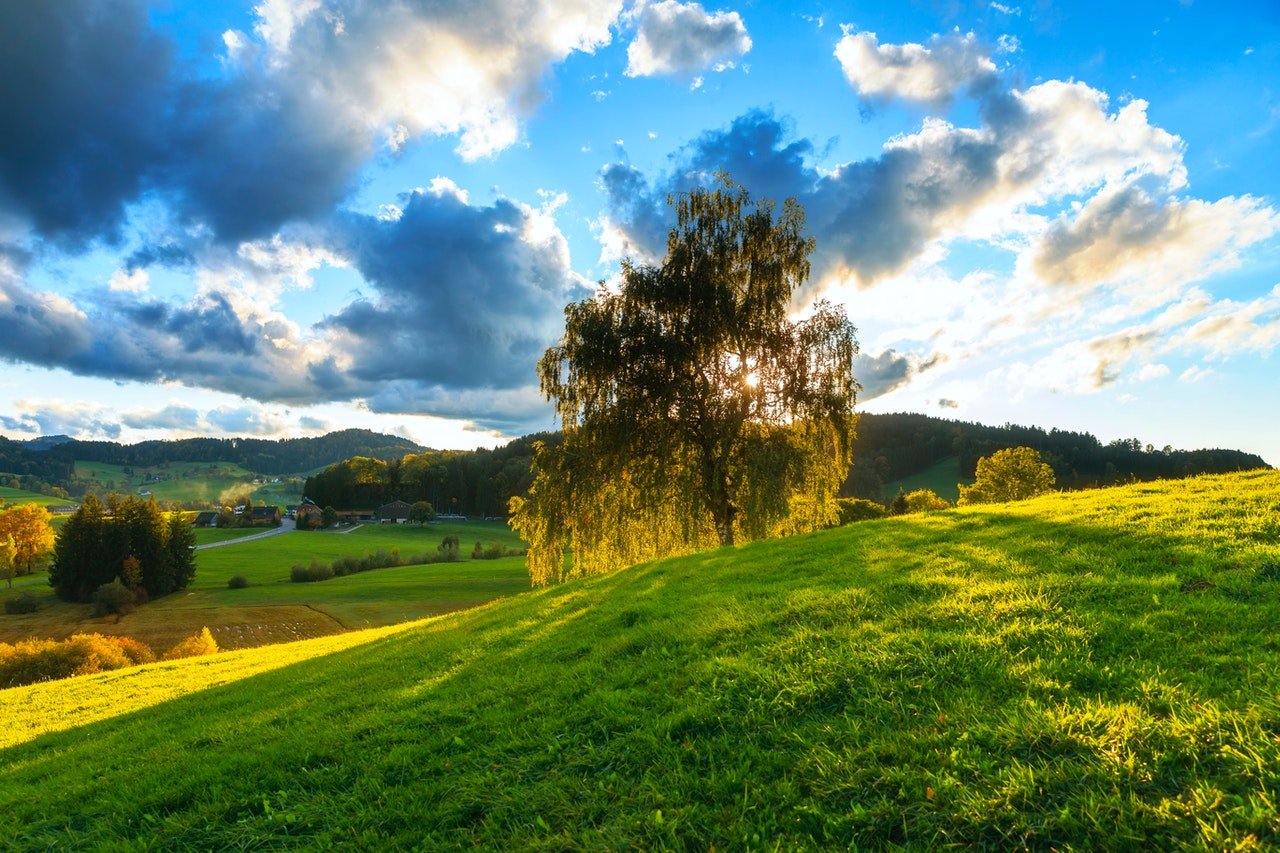 Tierra Verde Y Cielo Azul