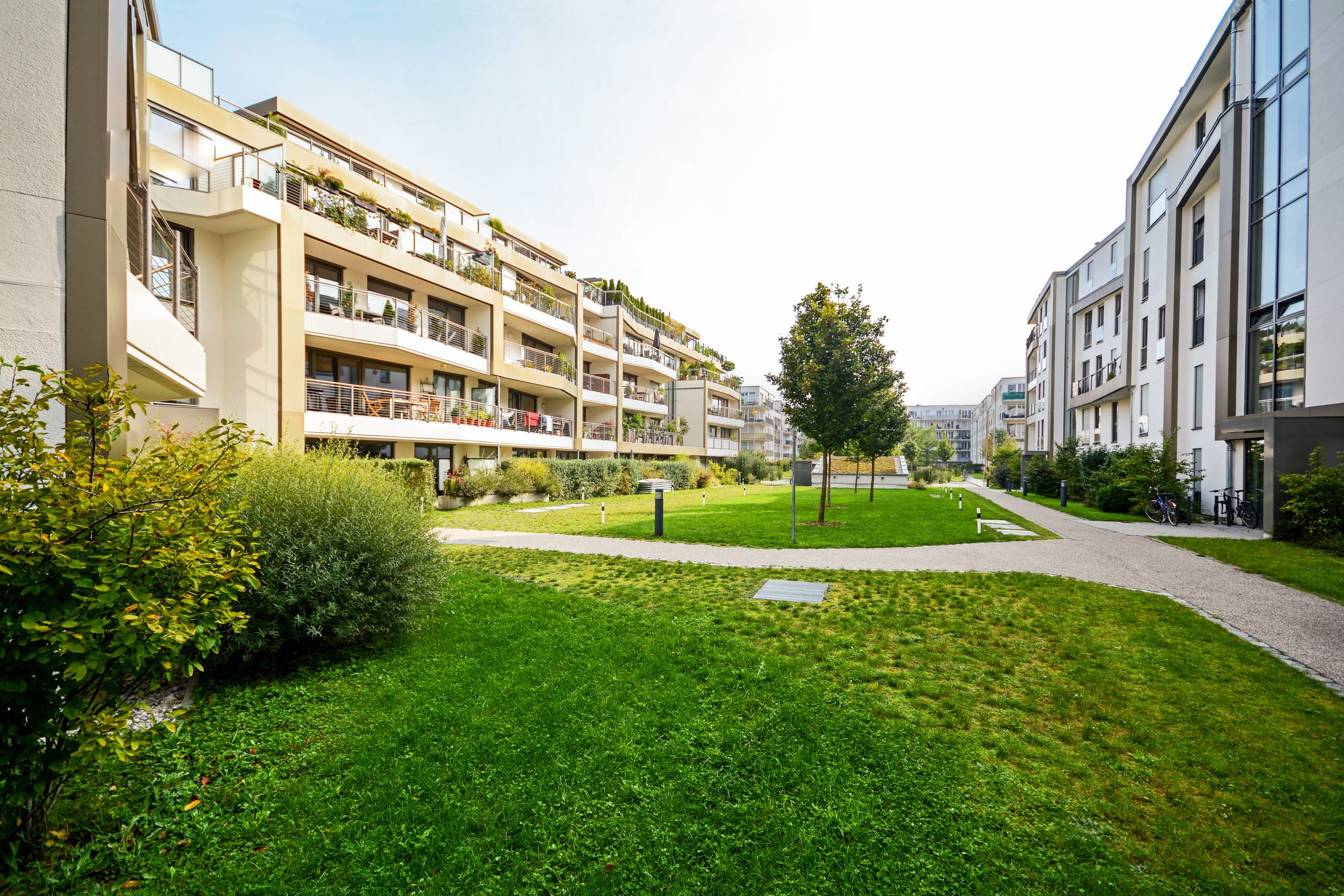 Soluciones residenciales: en Coliving y Cohousing